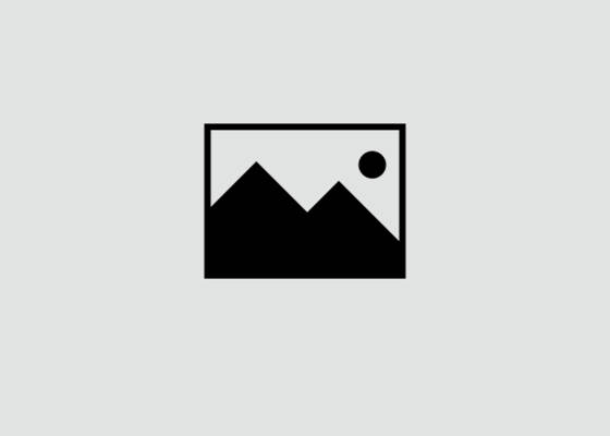 

img-holder.jpg